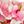 Yellow Dark Pink