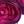 Dark Green Purple