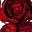 Dark Red Purple