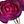 Light Purple Purple