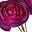 Light Purple Purple