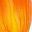 Rose Red Orange