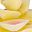 Yellow Rose Beige