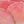 Lotus Pink Deep Pink