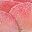 Lotus Pink Deep Pink
