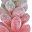 Rose Beige Deep Pink