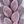 Greenpurple Leaf Beige