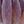Light Purple Purple