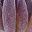 Light Purple Purple
