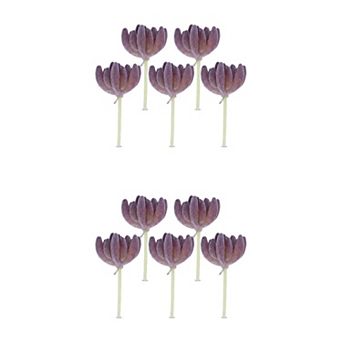 10 Packs Realistic Flocked Artificial Succulents Echeveria Picks 3.5" Unpotted Plant