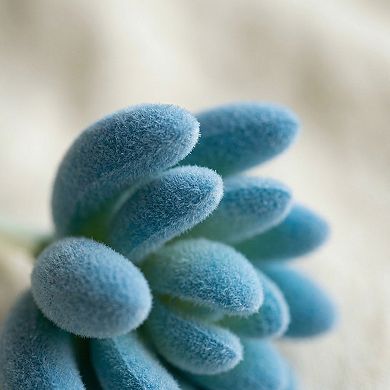 10 Packs Realistic Flocked Artificial Succulents Large Faux Echeveria Picks 3.5"