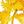 Yellow Blue