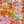Orange Pink Floral