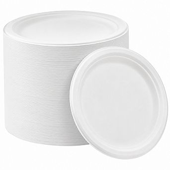 10 Inch Heavy Duty Compostable Paper Plates Sugarcane Fiber Microwave Safe