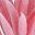 Green Deep Pink