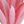 Light Purple Deep Pink