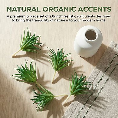 10 Packs Realistic Artificial Air Plants 2.8" Mini Faux Tillandsia Bromeliad Flocked PE Greenery