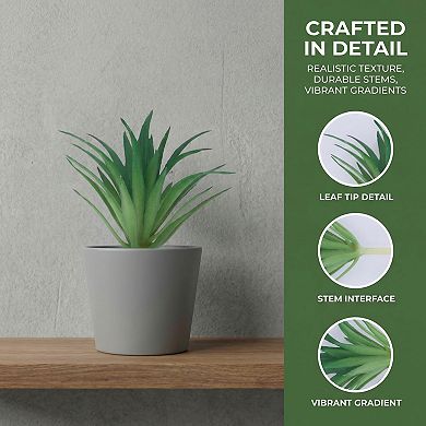 10 Packs Realistic Artificial Air Plants 2.8" Mini Faux Tillandsia Bromeliad Flocked PE Greenery