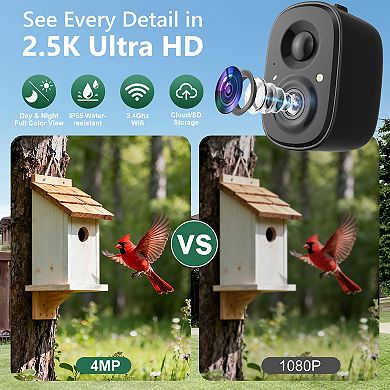 Coolfly x Richbird - 2.5K HD Smart Bird Camera with AI Recognition, Solar Panel, and Pole Mount