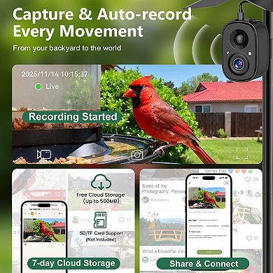 Coolfly x Richbird - 2.5K HD Smart Bird Camera with AI Recognition, Solar Panel, and Pole Mount