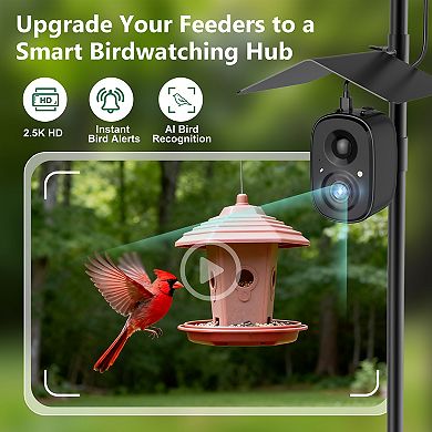 Coolfly x Richbird - 2.5K HD Smart Bird Camera with AI Recognition, Solar Panel, and Pole Mount