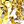 Silver Tone Gold Tone
