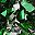 Silver Tone Green