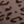 Coffee Color