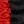 Red On Black Color