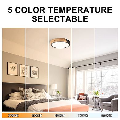 C Cattleya 12.75-Inch Black Dimmable 20-Watt Selectable LED Flush Mount Ceiling Light