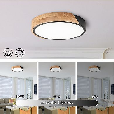 C Cattleya 12.75-Inch Black Dimmable 20-Watt Selectable LED Flush Mount Ceiling Light