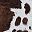 Brown White