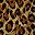 Leopard Print