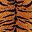 Tiger Stripe