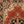 Red Brown