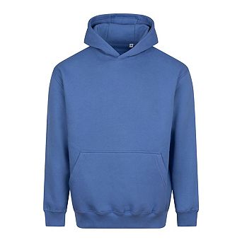 Awdis Unisex Adult Vision Heavyweight Hoodie