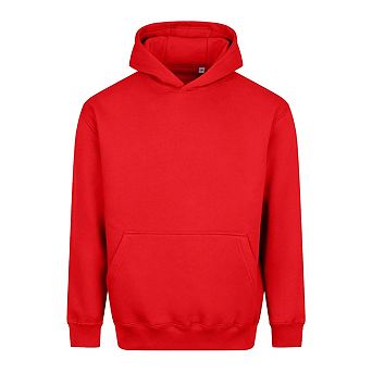 Awdis Unisex Adult Vision Heavyweight Hoodie