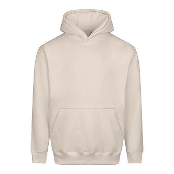 Awdis Unisex Adult Vision Heavyweight Hoodie