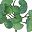 White Spots Green