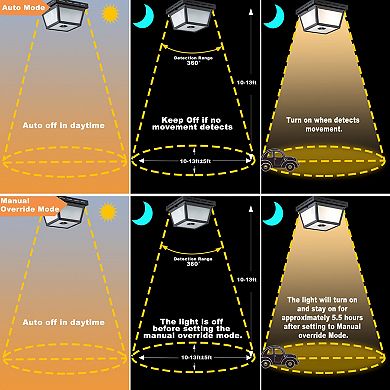 C Cattleya 9.25-Inch Black Motion Sensor Outdoor Flush Mount Light with Textured Glass