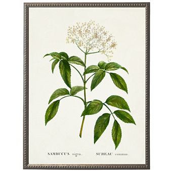 Surreau white flower on white background