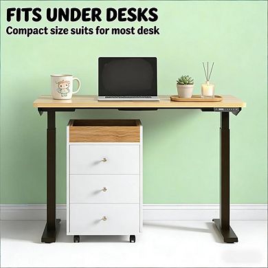Mobile File Cabinet - 3 Drawers, Removable Tray, Rolling Wheels with Brakes, Under Desk Size