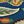 Telfair Peacock