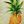 Pineapple Party