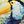 Toucan Leaf