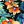 Beachcrest Caviar