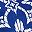 Aspidoras Cobalt