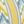 Libella Cornsilk