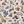 Cream Floral