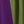 Grey Green Purple